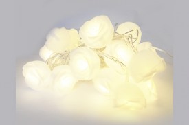 Luces x20 ROSAS blancas luces calidas (2).jpg